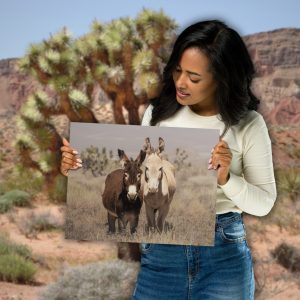 desert donkeys near mt charleston nevada wildlife metal print aluminum wall art southwest nature photography