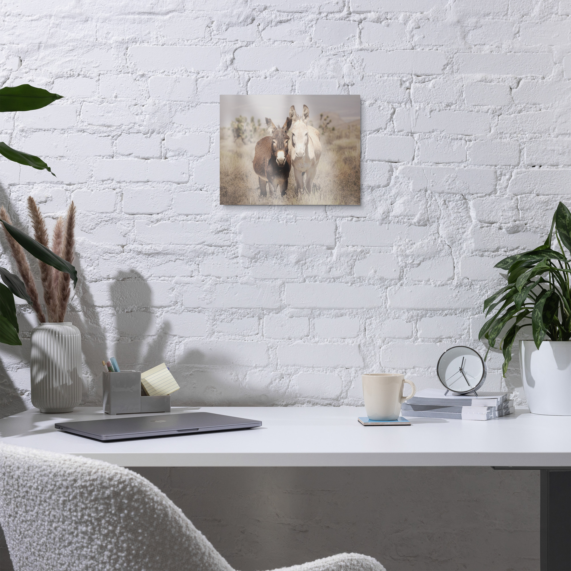 two wild burros standing in the nevada desert near mt charleston metal wall art aluminum print donkey photography southwest decor