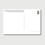 Wild donkey in the Spring Mountains Nevada near water source, telephoto wildlife photo, Mount Charleston nature postcard