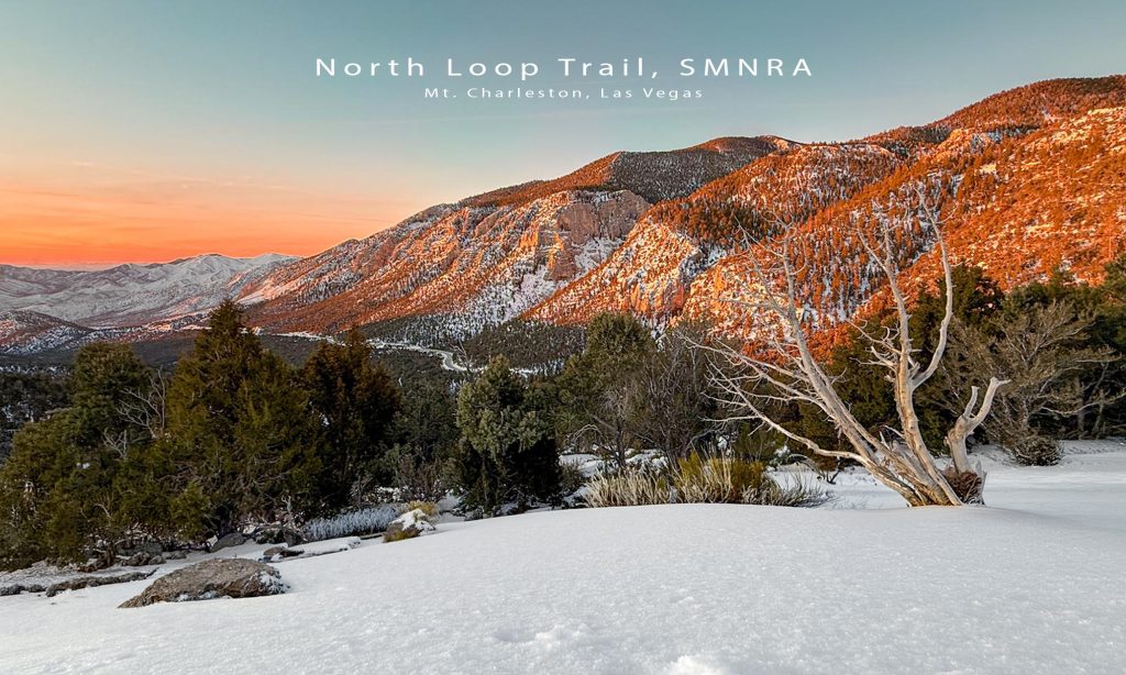 mt charleston postcards display featuring elk burros snowy sunrise north loop trailhead and ancient bristlecone pine raintree nevada mountains new spring mountains postcards with wildlife desert burros elk alpine forest snowy sunrise mt charleston visitor center gift shop